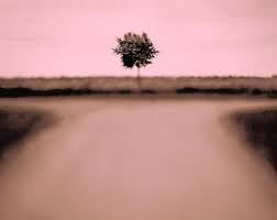 riforma o rivoluzione