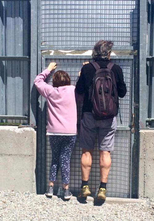 13612243_1145454698826413_6027609013343914897_n