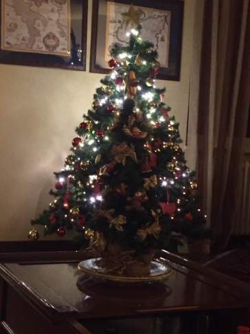 15589926_1231427333618610_2200308256549803660_n